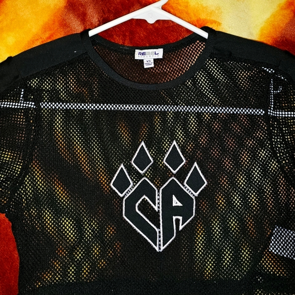 REBEL Cheer Athletics Mesh Crop top
